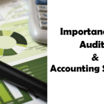 Importance of Audit and Accounting Standard